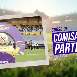 Comisario de Partido