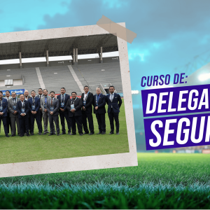 Oficial de Seguridad